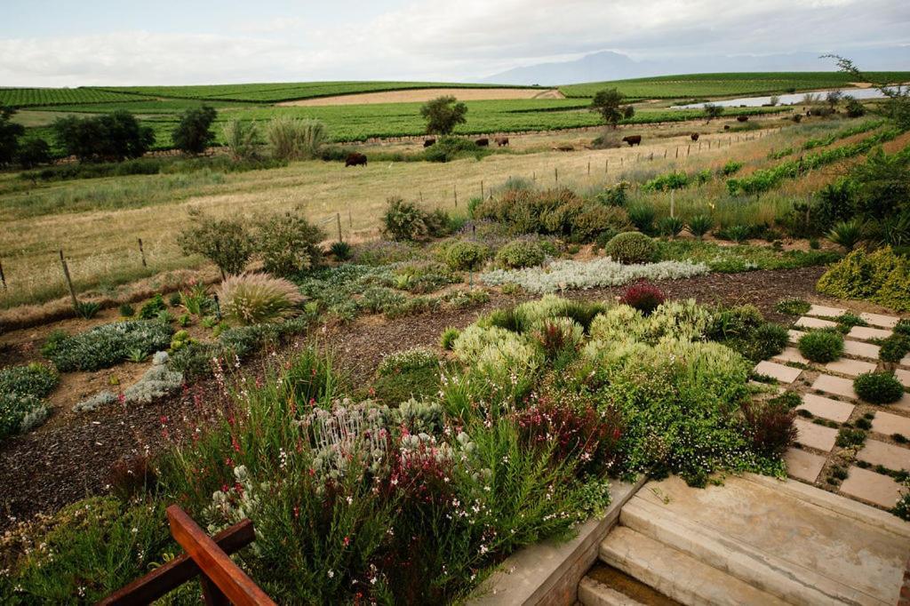 Vineyard Views Country House 里比克堡 外观 照片