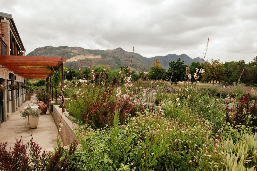 Vineyard Views Country House 里比克堡 外观 照片